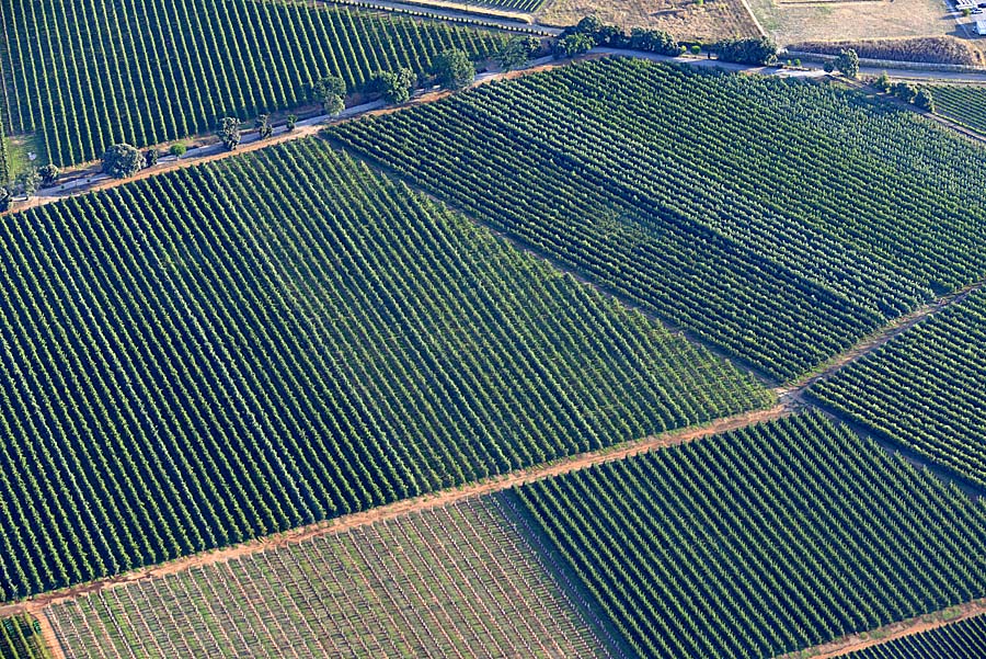 34agriculture-herault-11-0717