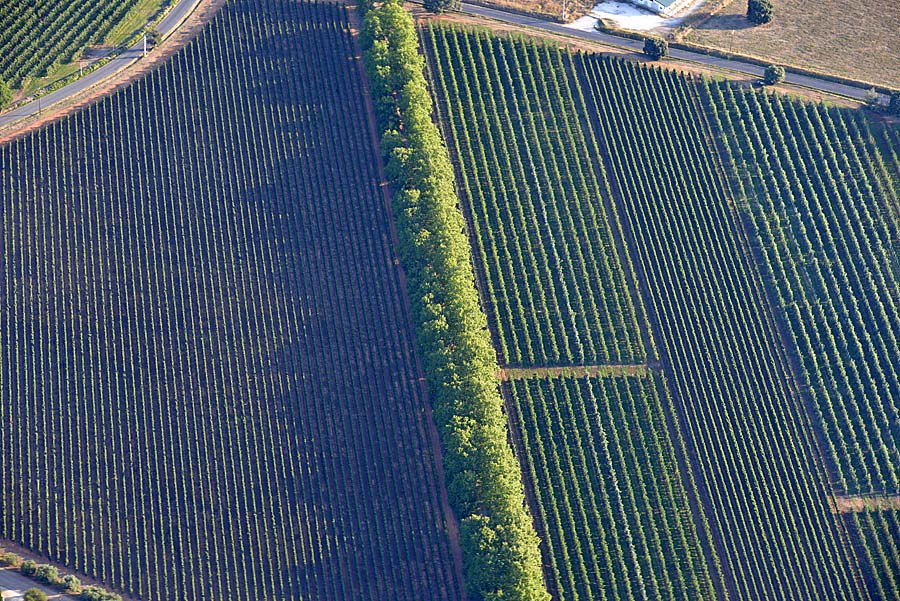 34agriculture-herault-14-0717