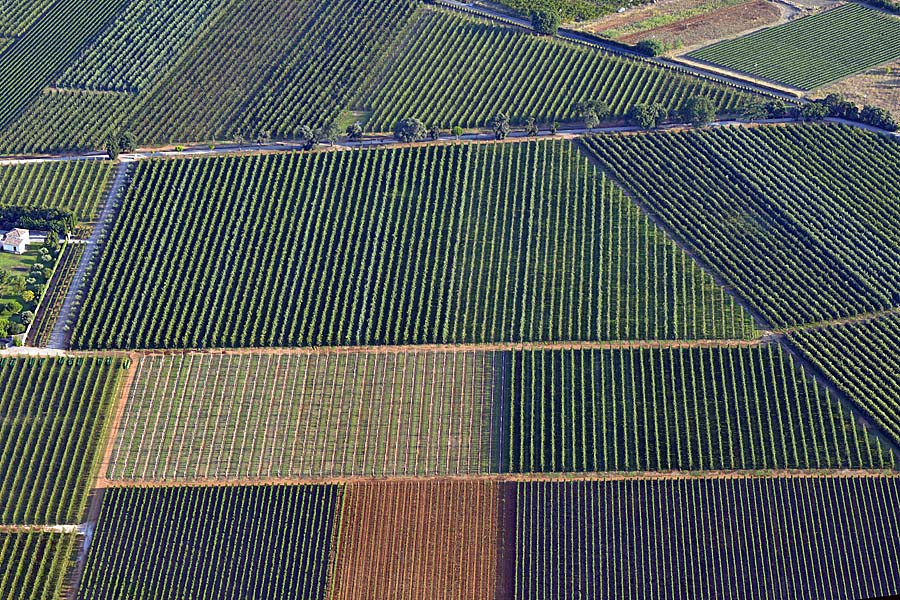 34agriculture-herault-8-0717