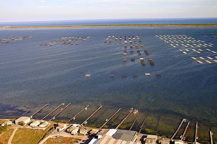 34etang-de-thau-49-0908
