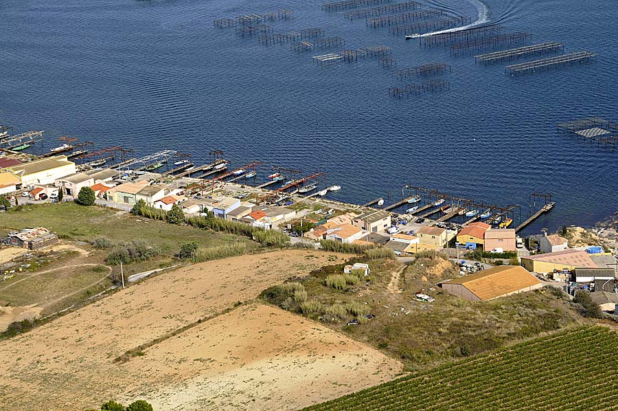 34etang-de-thau-5-0908