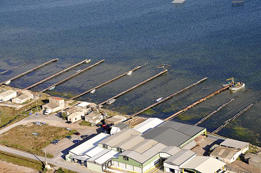 34etang-de-thau-50-0908