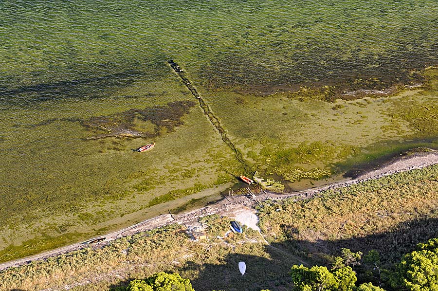 34etang-de-thau-52-0908