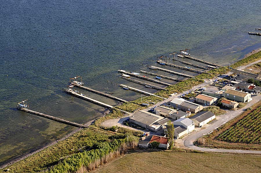 34etang-de-thau-54-0908