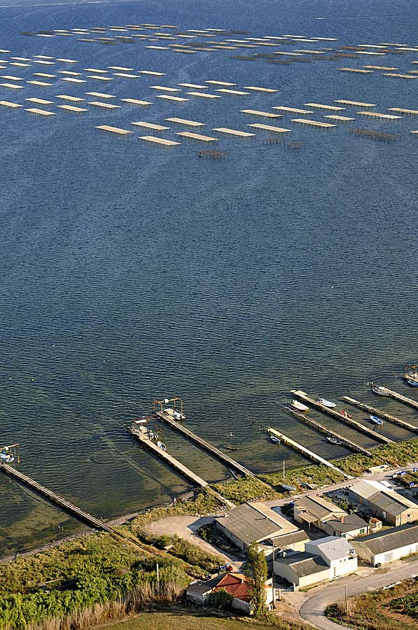 34etang-de-thau-55-0908