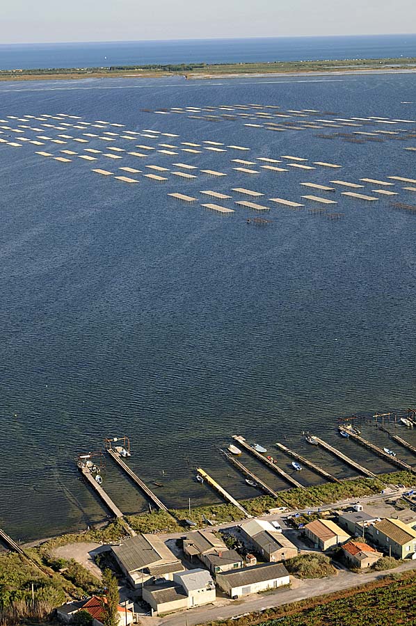 34etang-de-thau-56-0908