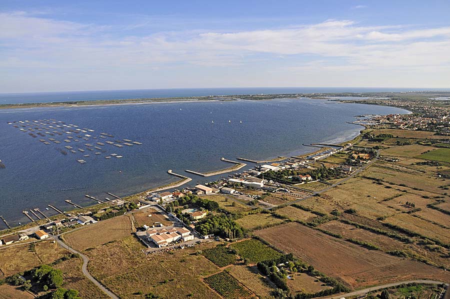 34etang-de-thau-57-0908