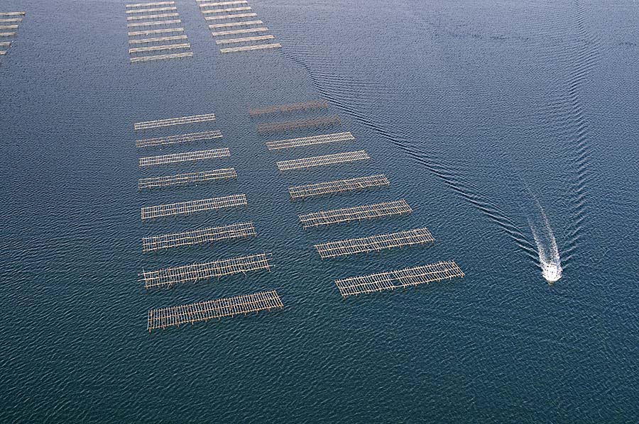 34etang-de-thau-62-0908