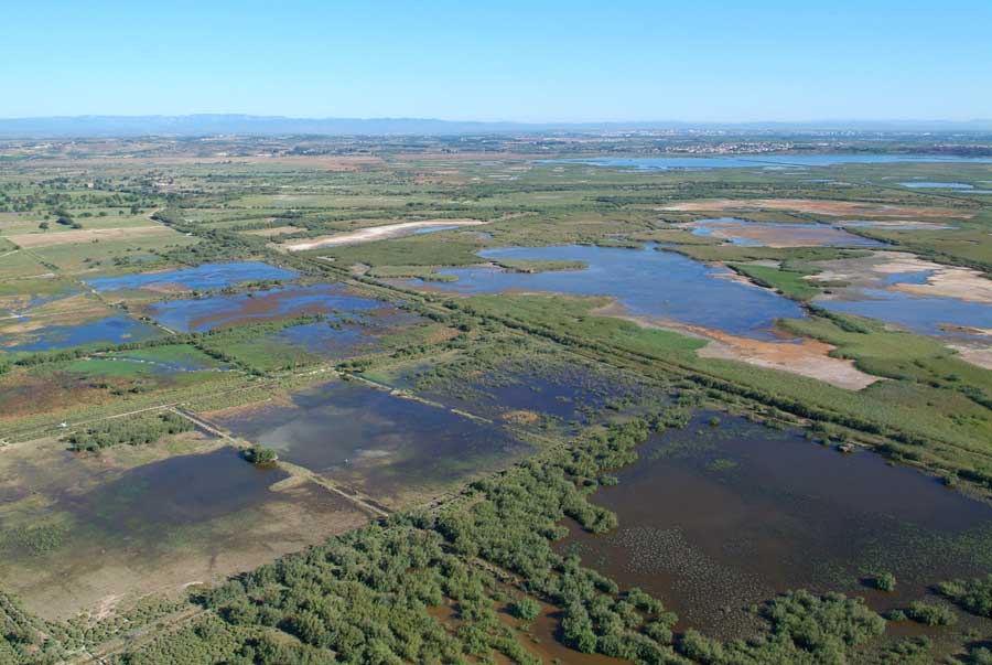 34etang-fleury-1-0806