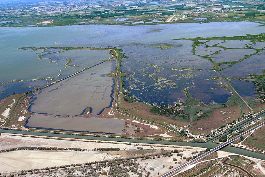 34etang-mauguio-10-0604