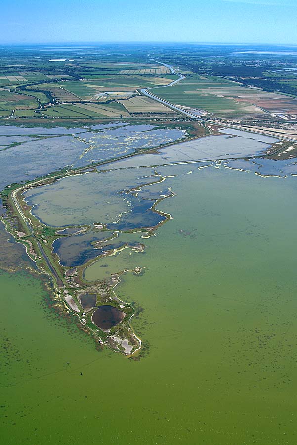 34etang-mauguio-8-0604