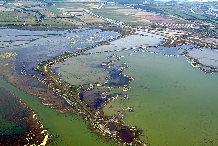 34etang-mauguio-9-0604