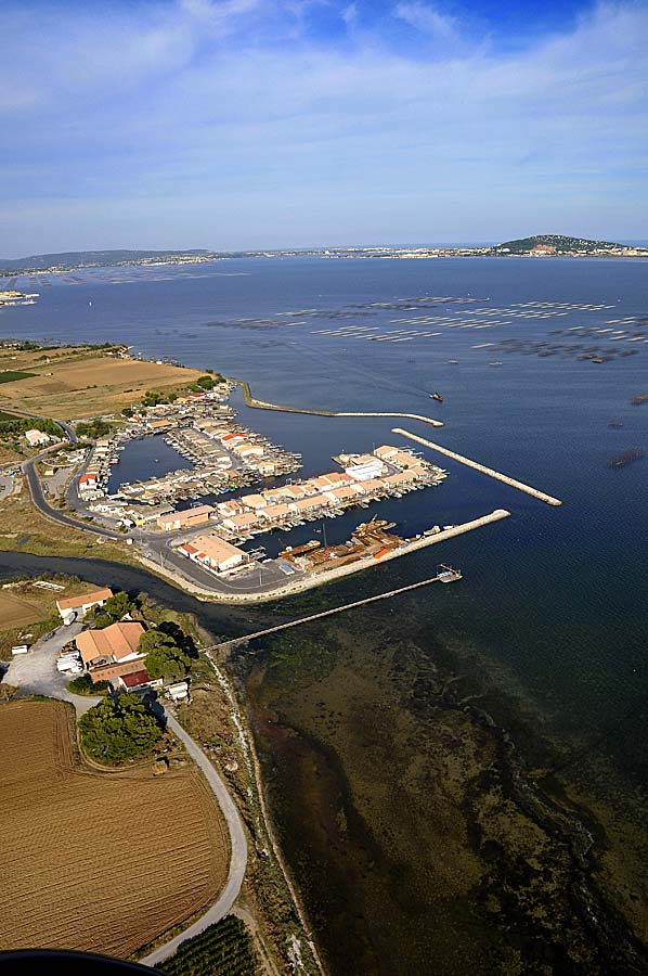 34le-mourre-blanc-10-0908