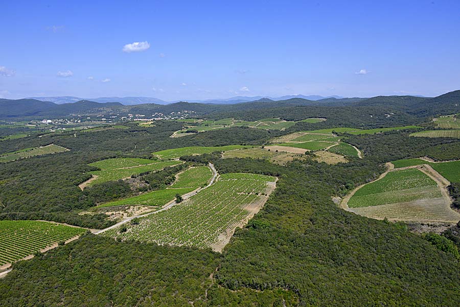 34vignobles-haut-languedoc-1-0614