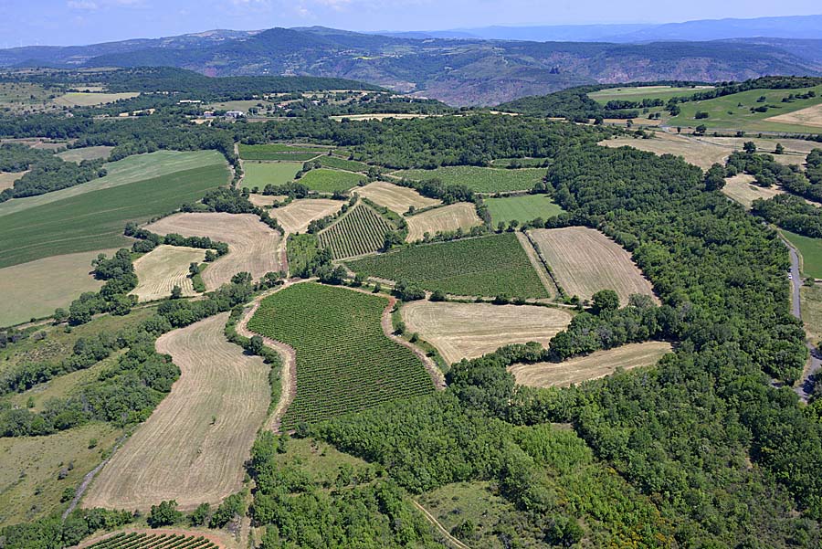 34vignobles-haut-languedoc-19-0614