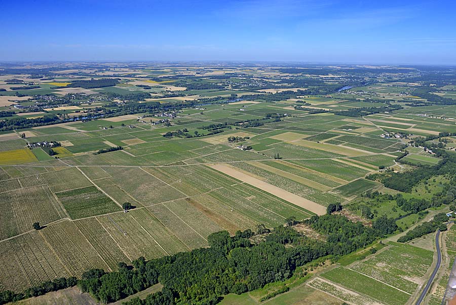 37agriculture-indre-et-loire-17-0720