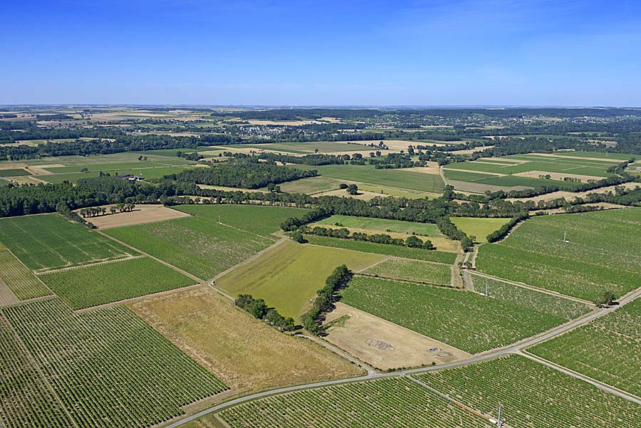 37agriculture-indre-et-loire-19-0720