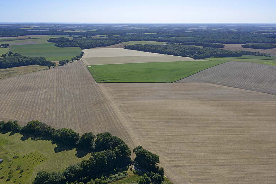 37agriculture-indre-et-loire-2-0720