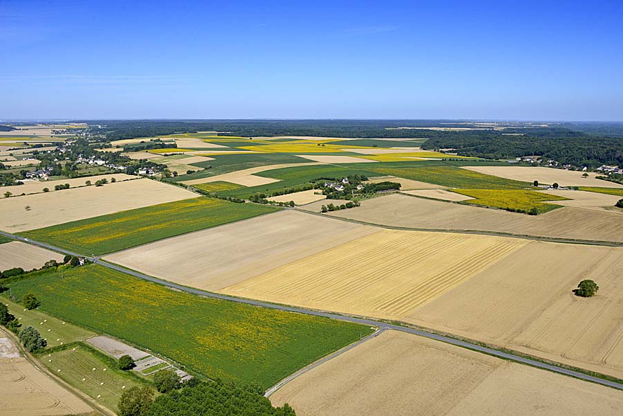 37agriculture-indre-et-loire-21-0720