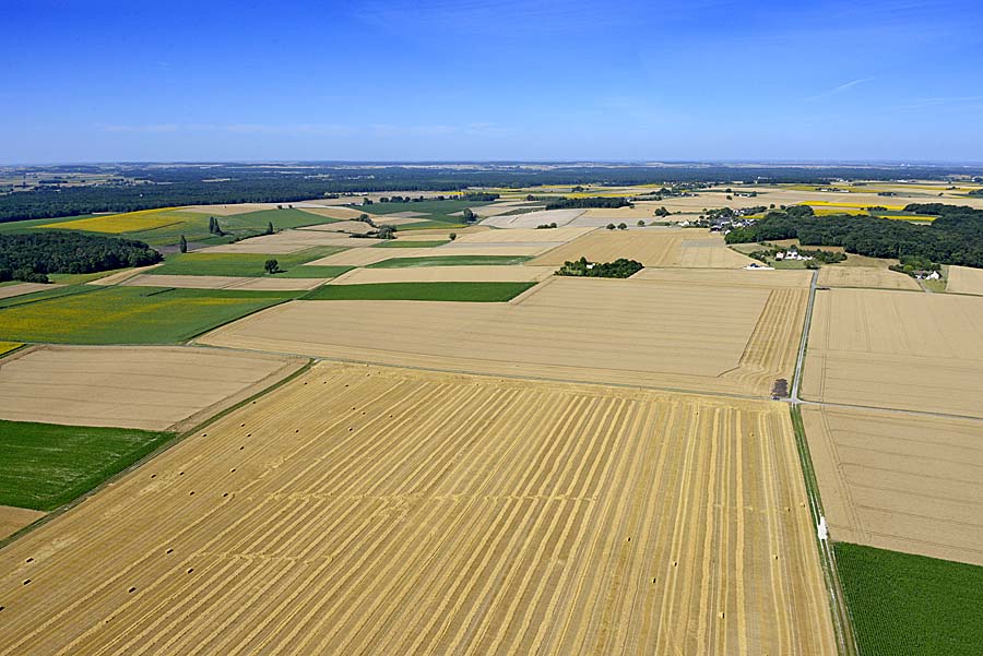 37agriculture-indre-et-loire-22-0720