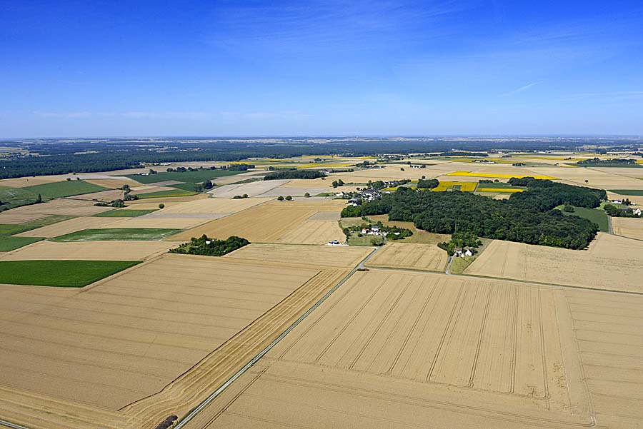 37agriculture-indre-et-loire-23-0720