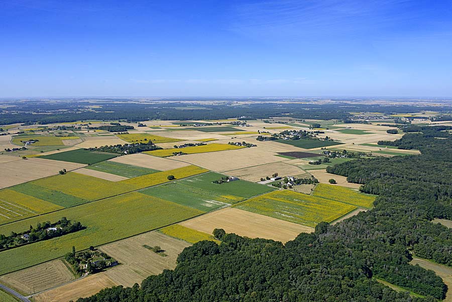 37agriculture-indre-et-loire-25-0720