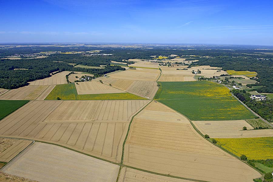 37agriculture-indre-et-loire-26-0720