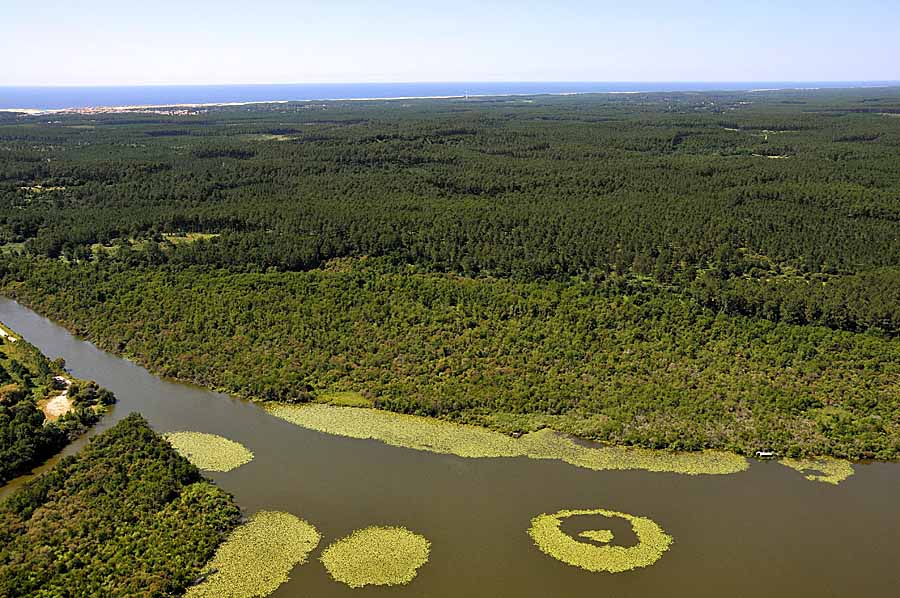 40etang-landes-13-0708