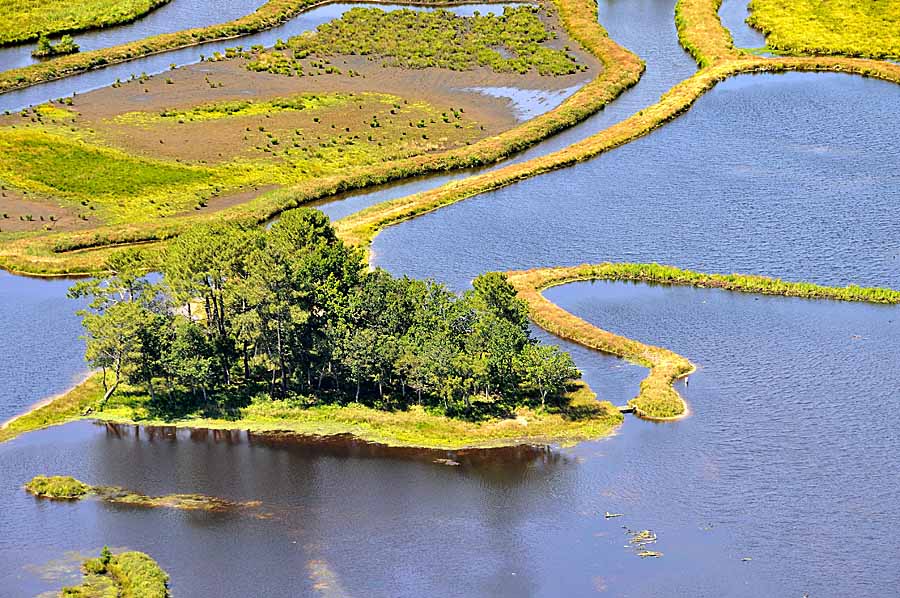 40etang-landes-5-0708