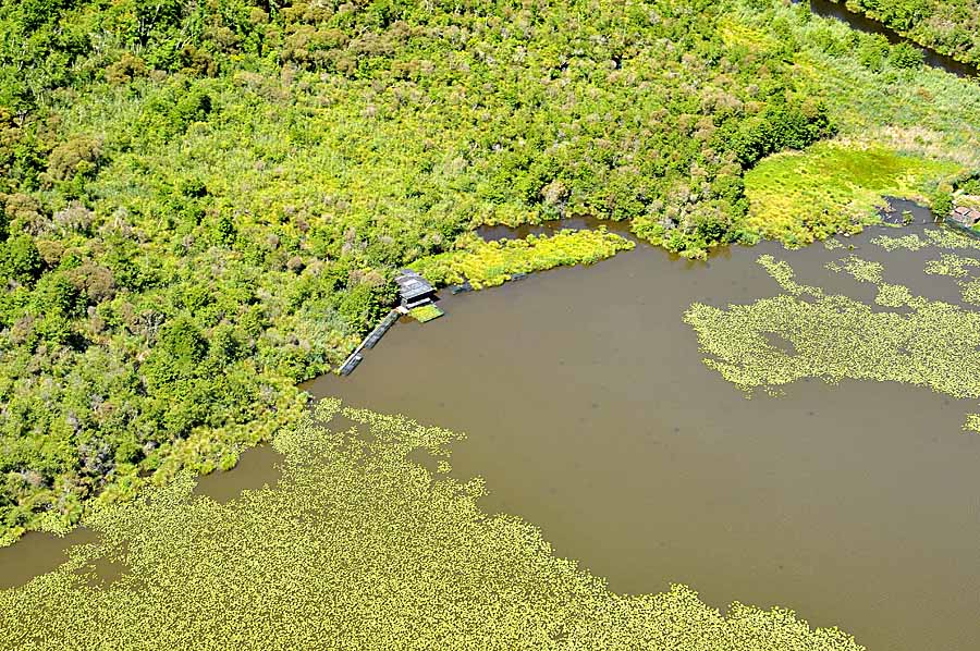 40etang-landes-9-0708