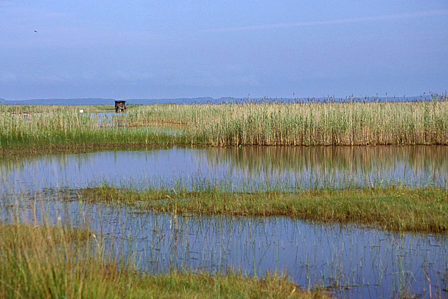 40etang-sanguinet-11-e02