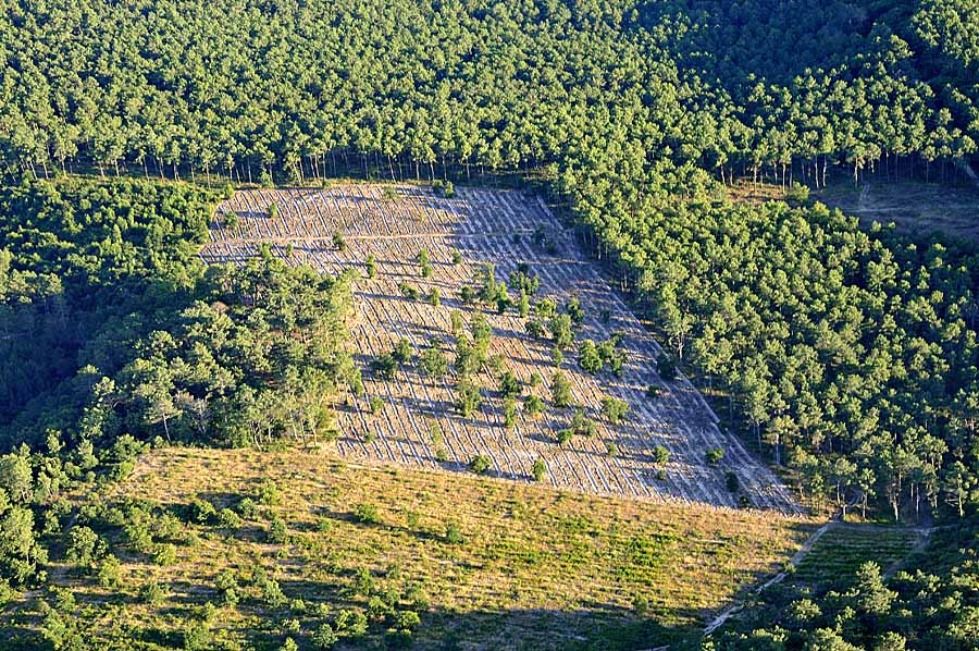 40foret-des-landes-21-0708