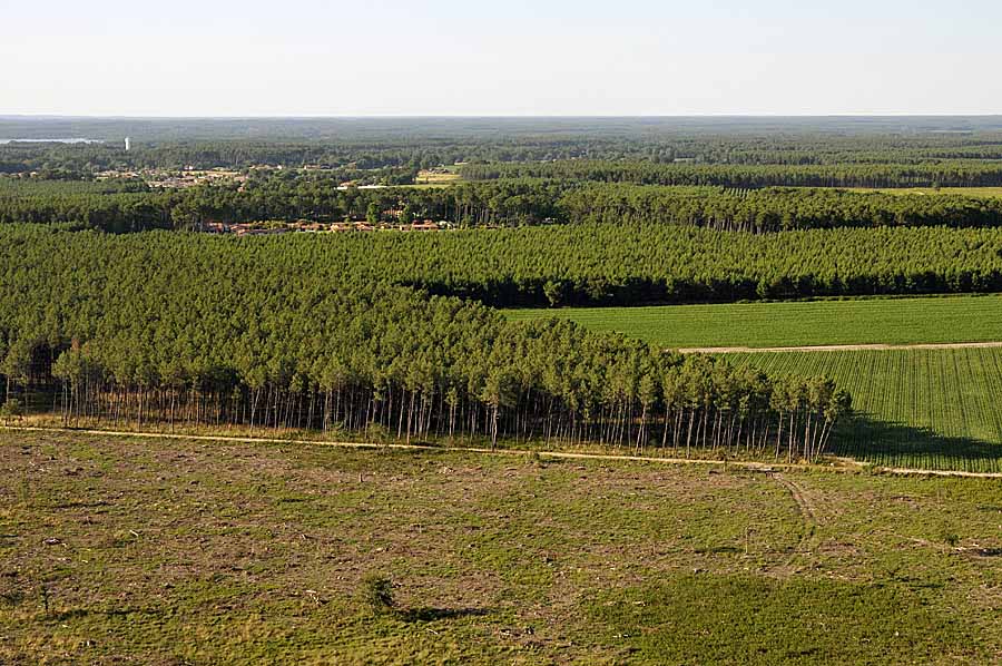 40foret-des-landes-28-0708