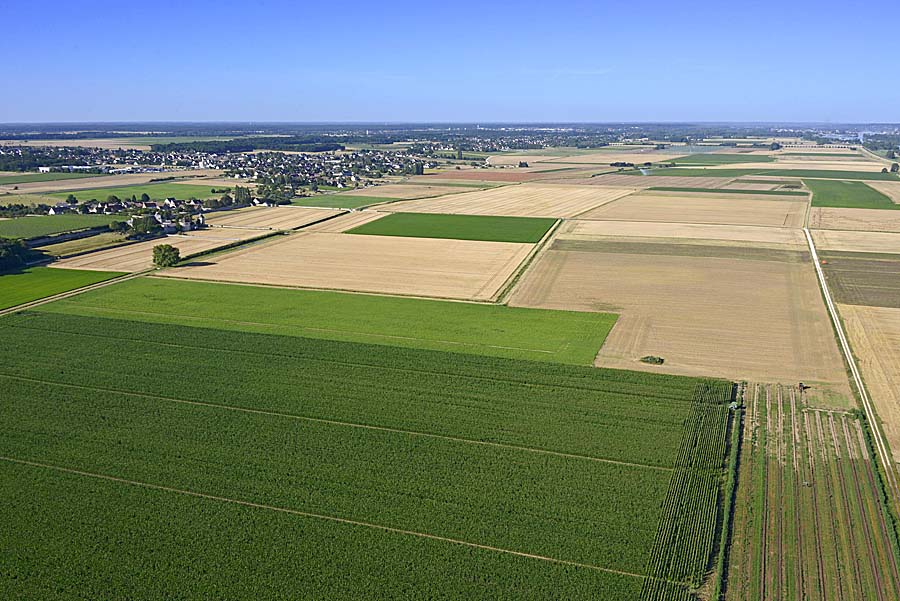 41agriculture-loir-et-cher-104-0720