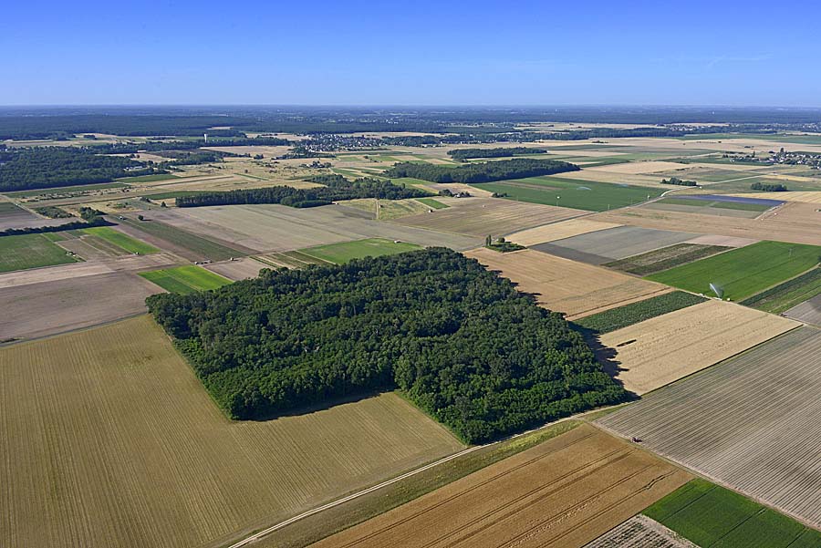 41agriculture-loir-et-cher-105-0720