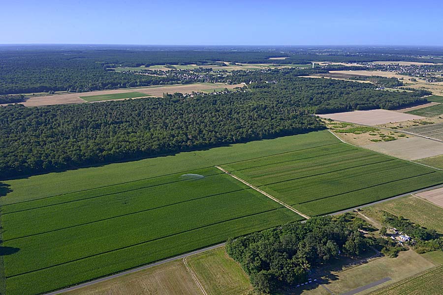 41agriculture-loir-et-cher-107-0720