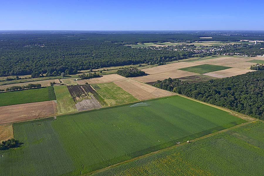 41agriculture-loir-et-cher-108-0720
