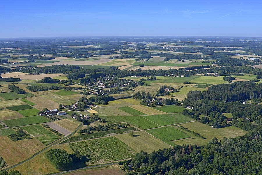 41agriculture-loir-et-cher-112-0720