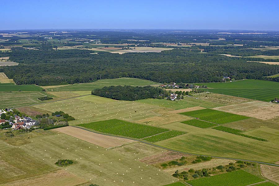 41agriculture-loir-et-cher-117-0720