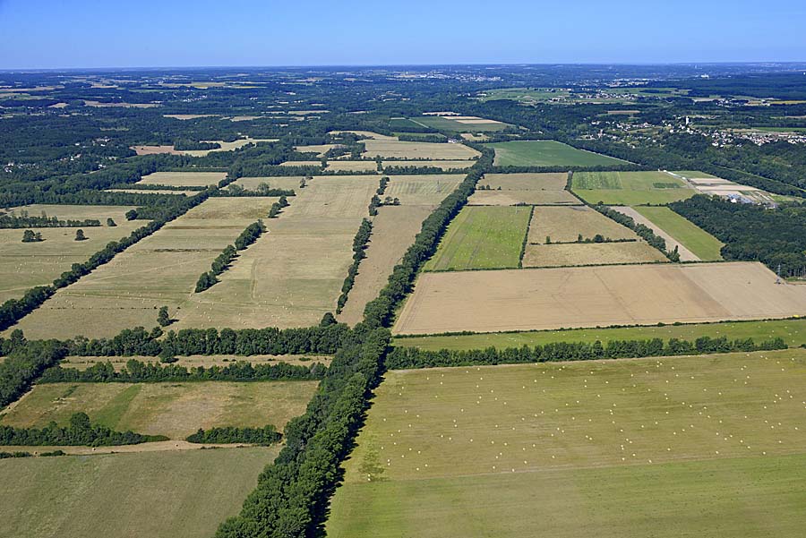 41agriculture-loir-et-cher-42-0720
