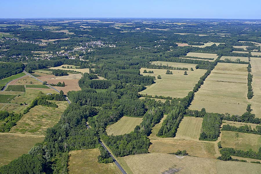 41agriculture-loir-et-cher-43-0720
