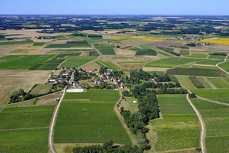 41agriculture-loir-et-cher-49-0720