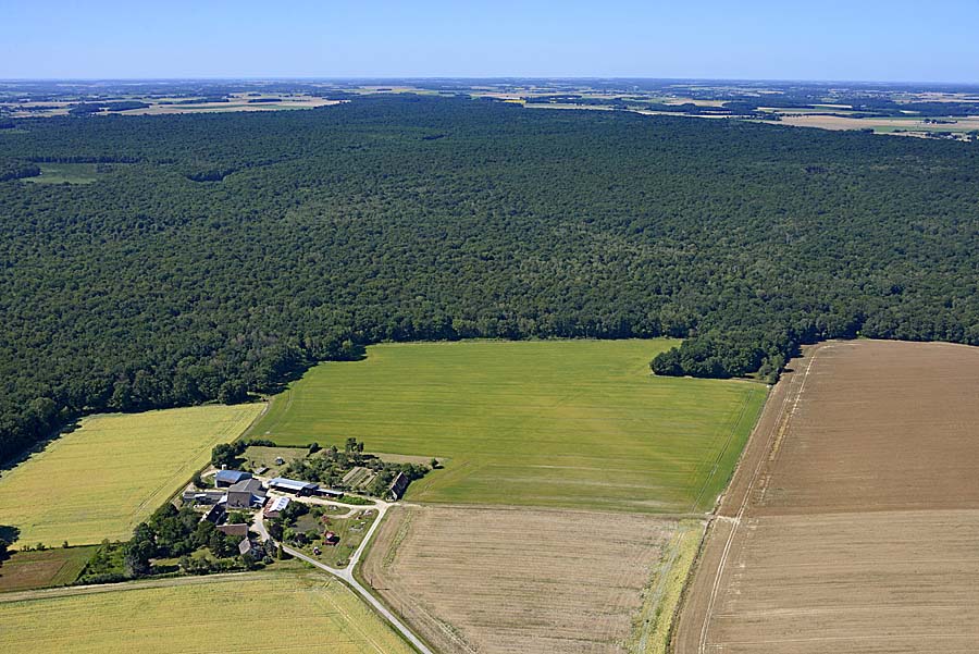 41agriculture-loir-et-cher-55-0720