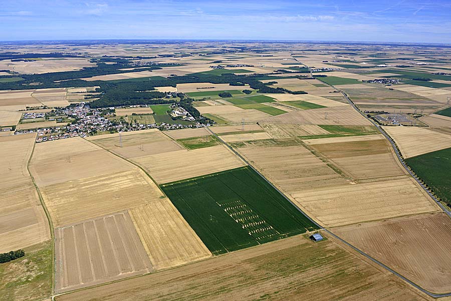 41agriculture-loir-et-cher-95-0720