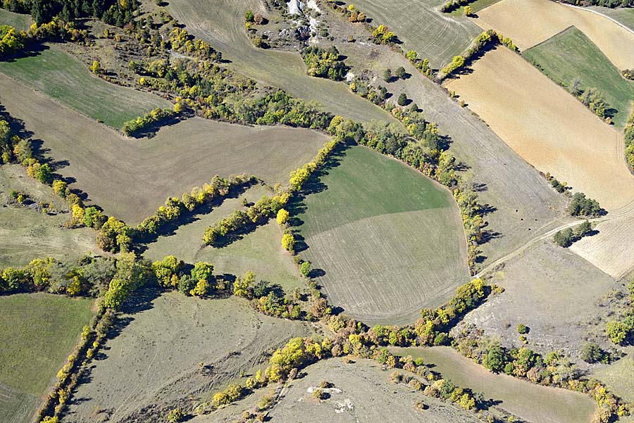 48agriculture-lozere-9-1017