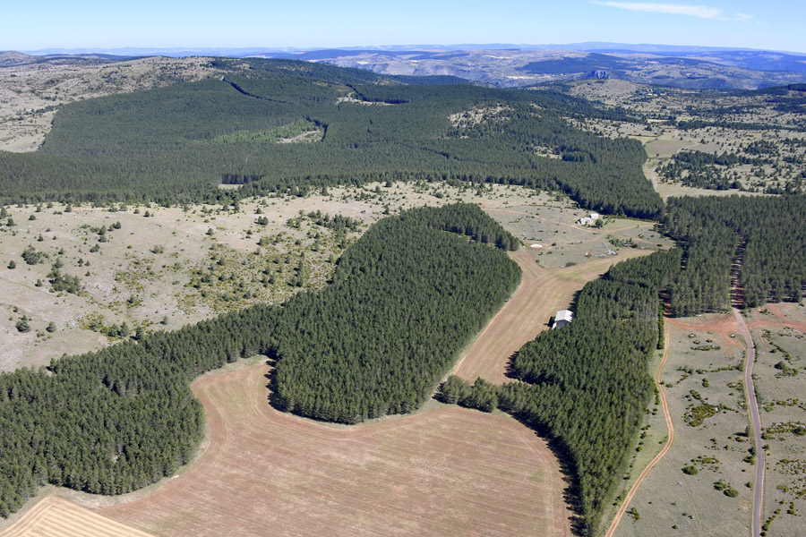 48causse-mejean-56-0622