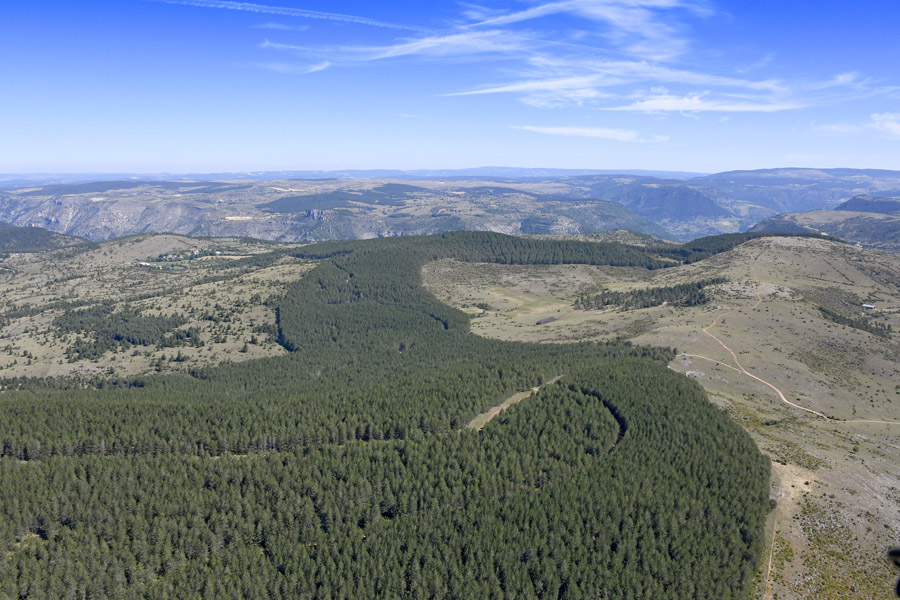 48causse-mejean-59-0622