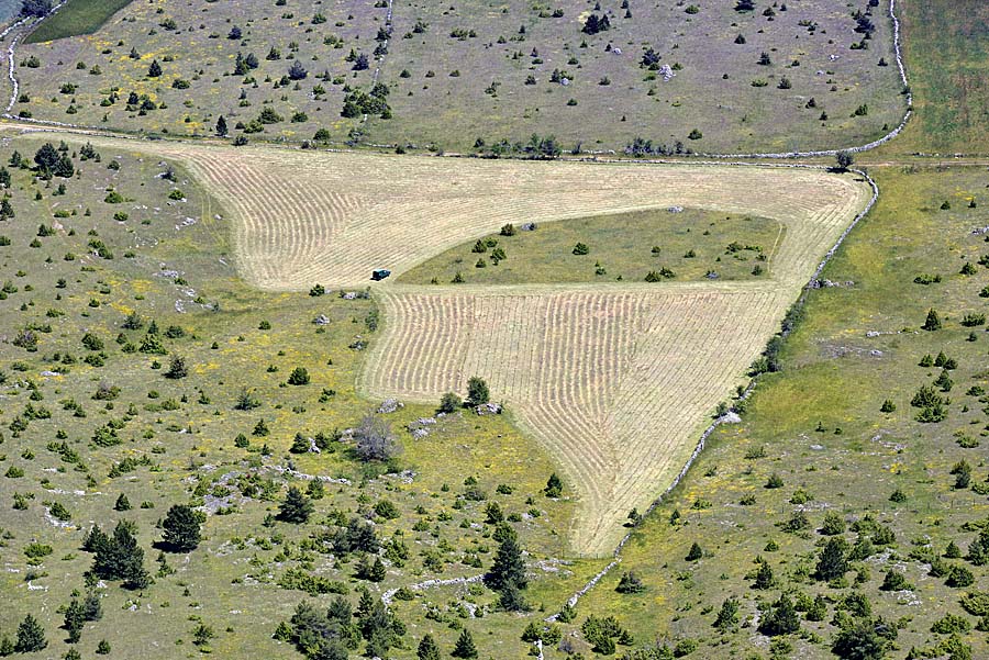 48causse-sauveterre-2-0713