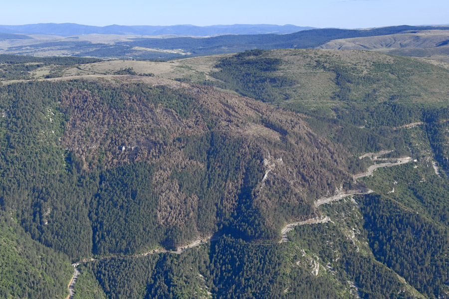 48gorges-du-tarn-303-0622