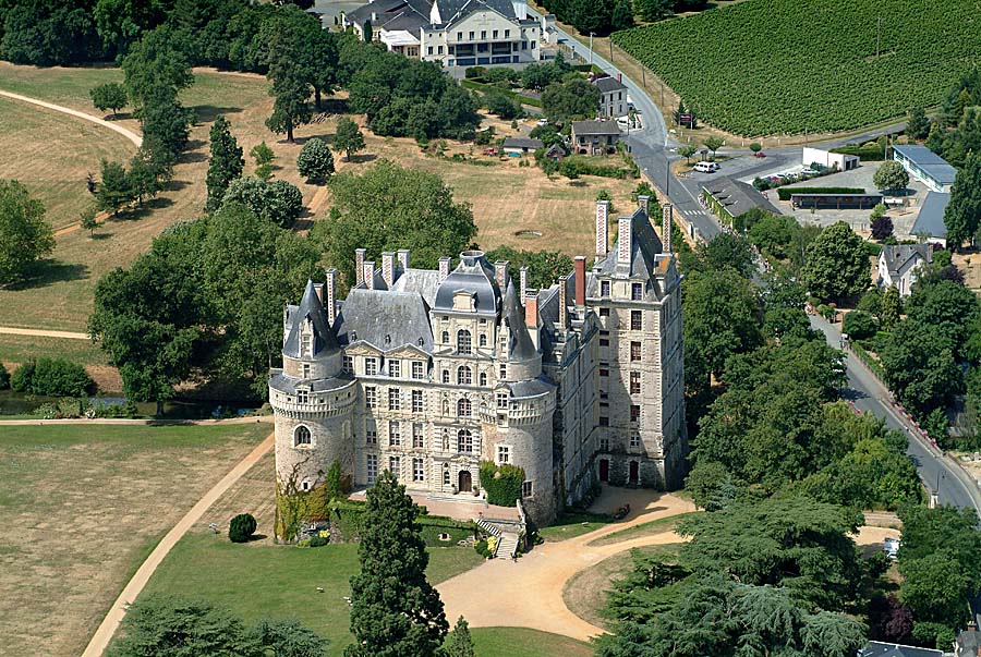 49brissac-quince-1-0704